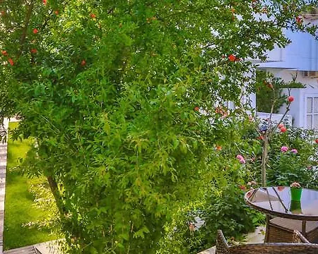 Ilica Otel Çeşme